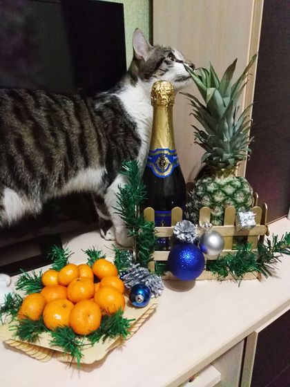 Мандаринки пошли в ход, значит скоро новый год)))