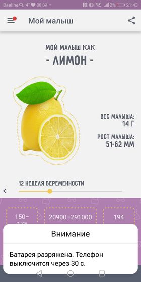 ?12 Недель ?