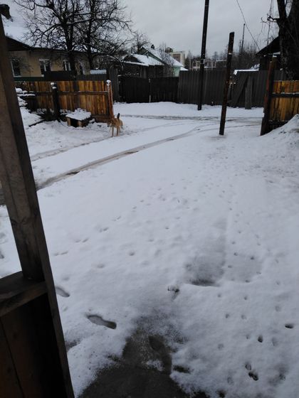 немножко новостей