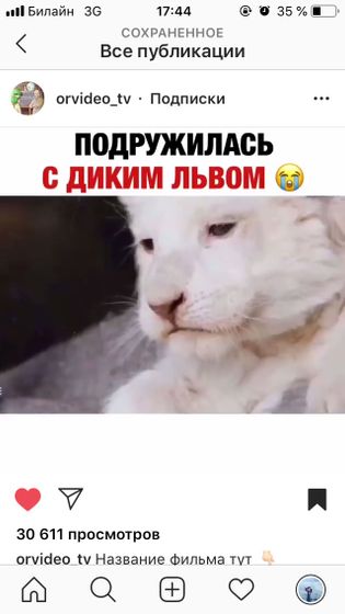 Девочки ну что за