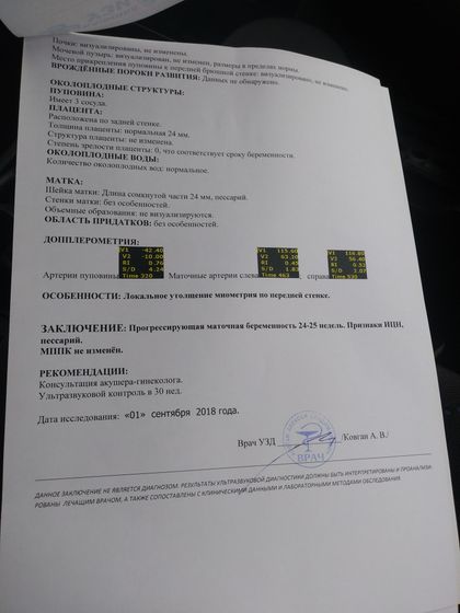 25 неделя