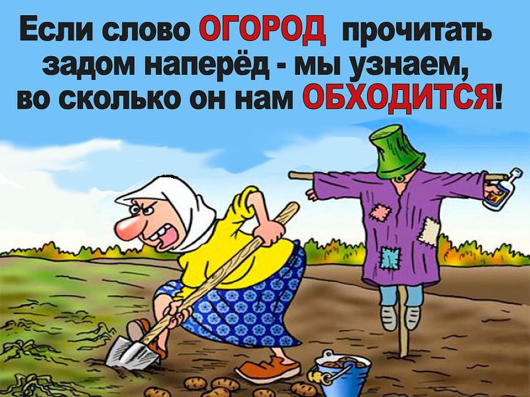 Питер! - остеопат для взрослых