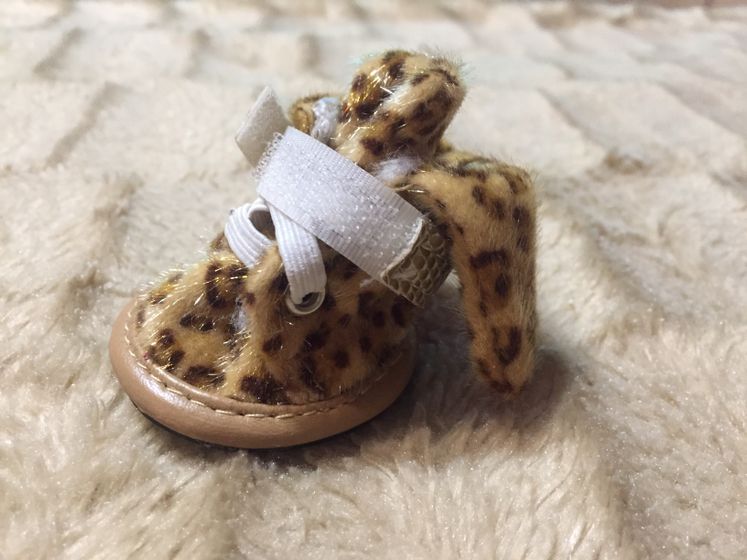 Отдам одежду на йорка