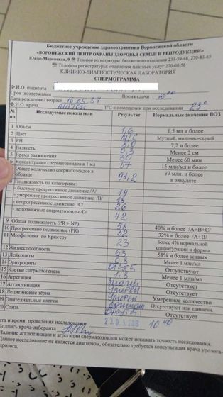 СГ по Крюгеру, ЭКО продолжение