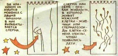 Детская книга “Откуда берутся дети?”