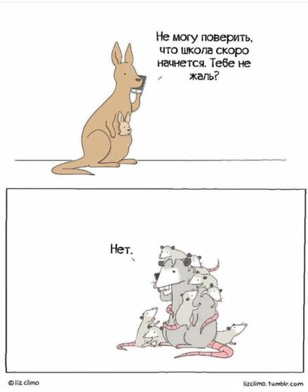 Картинка про школу для