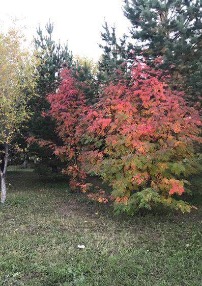 У нас уже осень 🍂