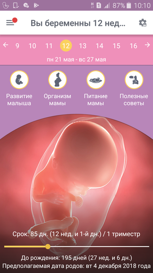 12 недель