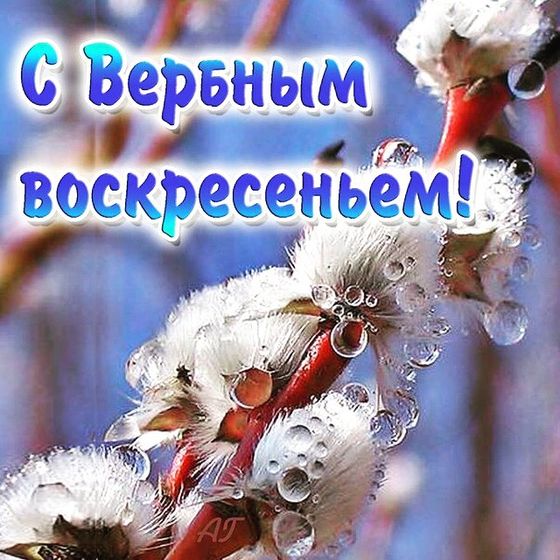 День уже закончился, но