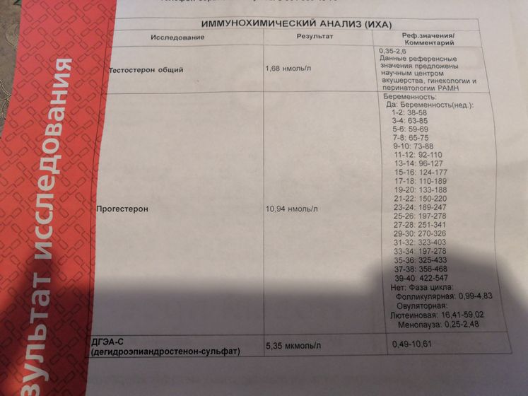 Мои размышления