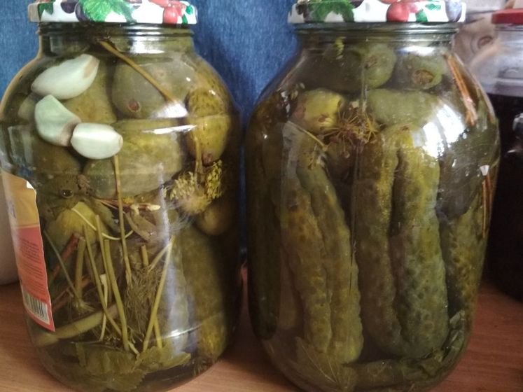 Мои первые засолки и варенья