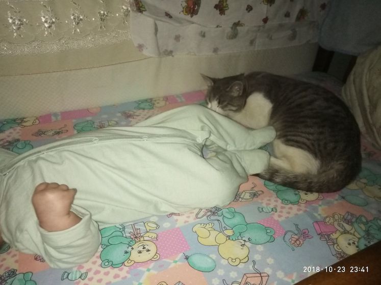 Это любовь)?