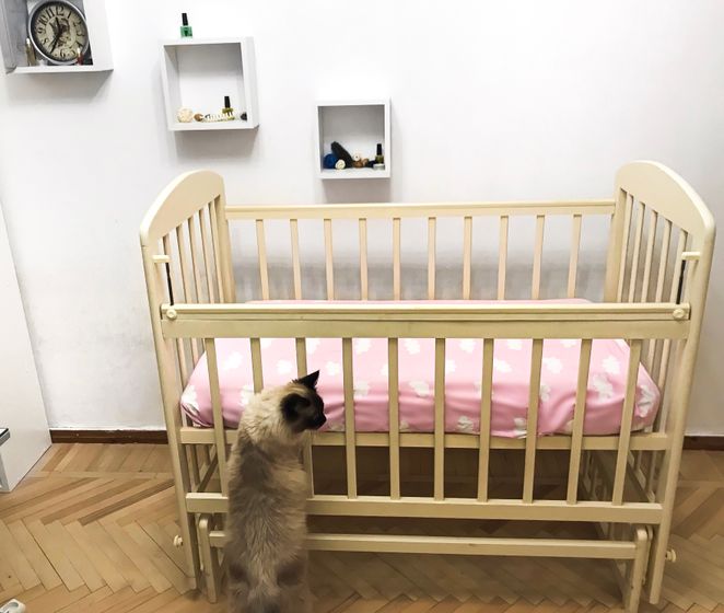 Кроватка?
