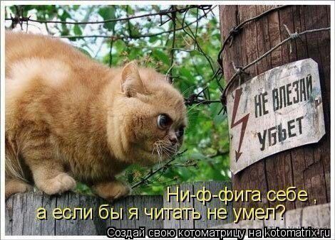 Для настроения 😊