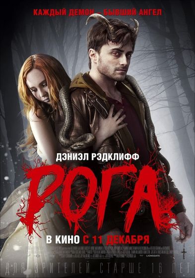 последние три фильма 241
