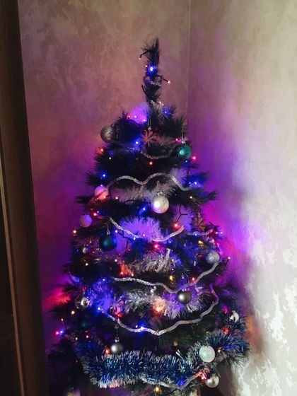 Нарядили ёлочку🌲