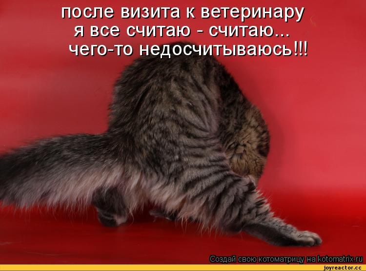Конкурс детских фотографий. Раунд IV