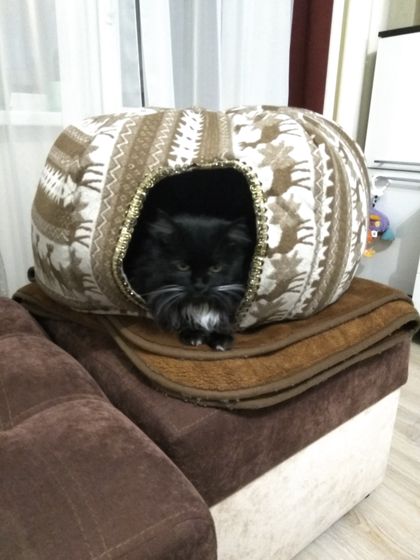 Закончила работу