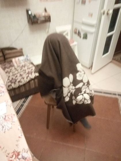 Занимательная анатомия. Половая система