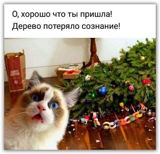 Хи-хи