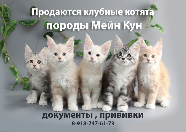 Дети и животные