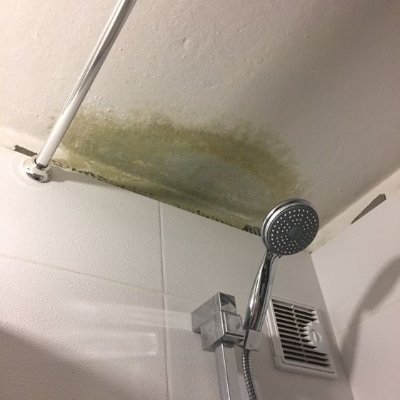 ?