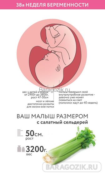 Девочки и мальчики