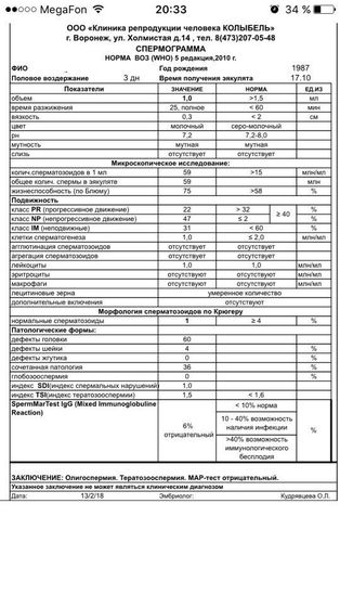 СГ по Крюгеру, ЭКО продолжение