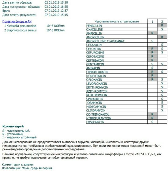 Klebsiella и Staphilococcus aureus