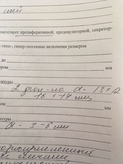 УЗИ ... подскажите
