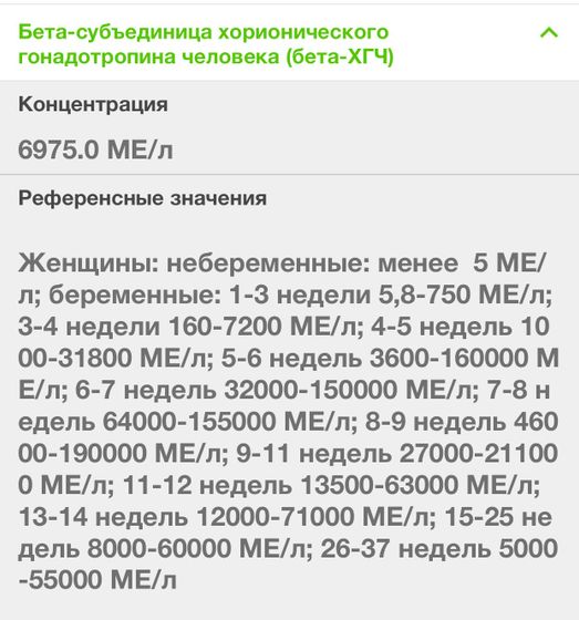 19 дпп