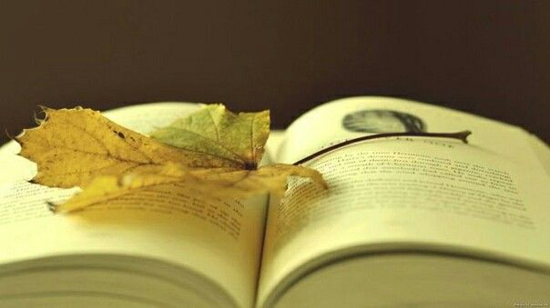 "8 необычных книг"📚🛋