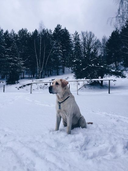 Мало же мне забот!)