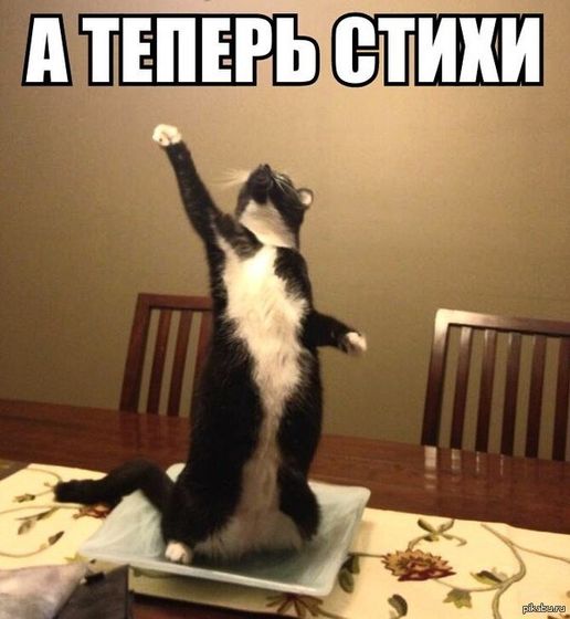 Как развить в ребенке коммуникативность?