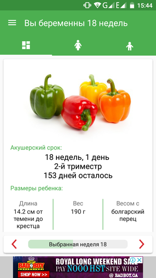 Животик💕