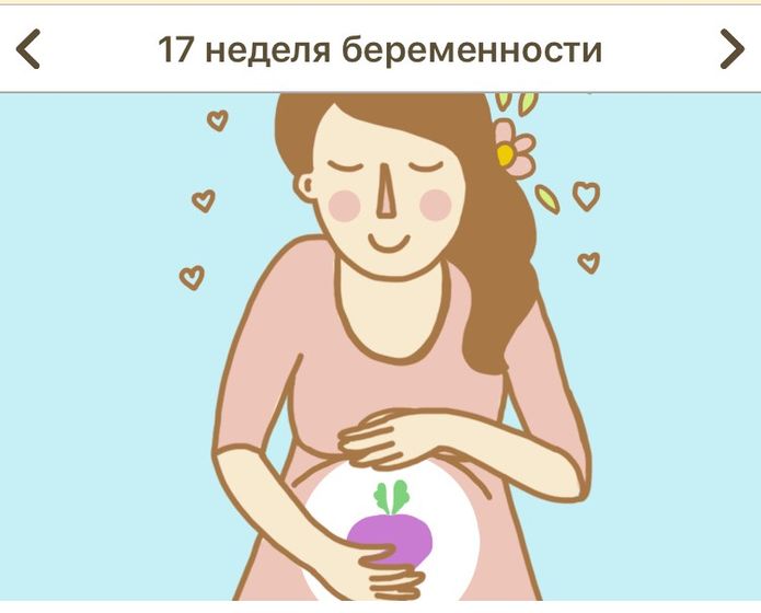???17 недель???