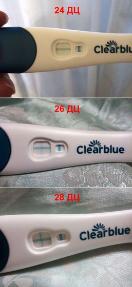Динамика на Clearblue