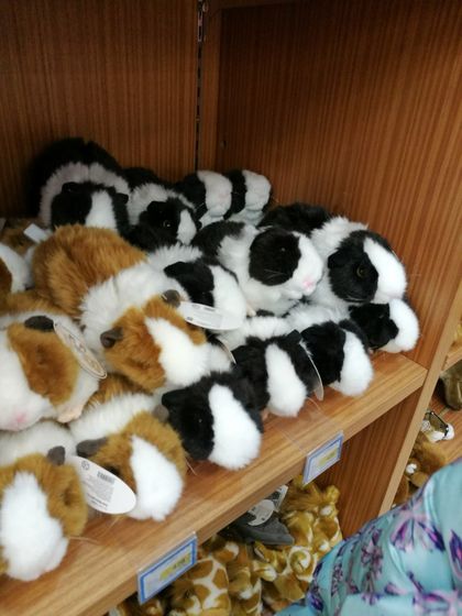 Готовимся к НГи вечный вопрос