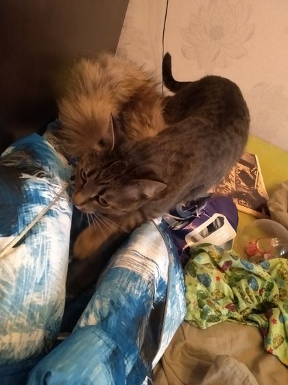 Куртка на зиму)