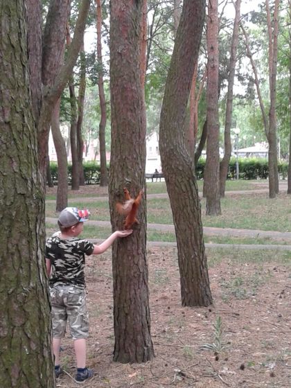 Дети и всякая живность