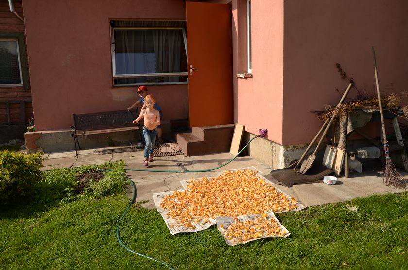 Наша большая семья или мы побывали в Латвии.