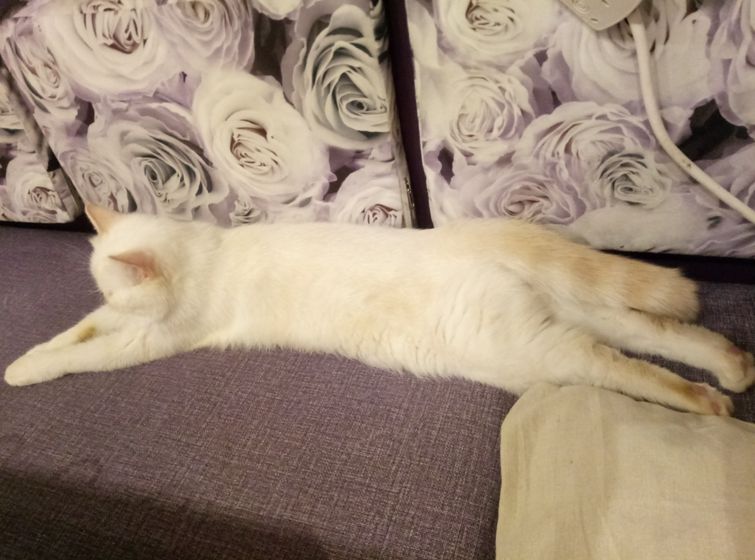 Моя 😍