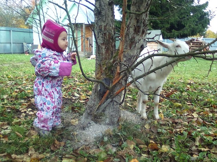 Немного Вики в ленту