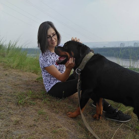 Дети и крупные собаки