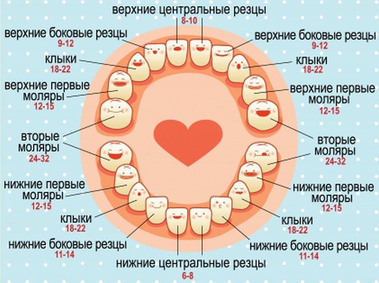 Зубки у малыша