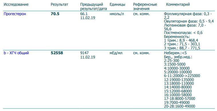 ХГЧ в 6 недель 2 дня