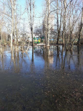 Дашино здоровье, апрель 2018. И немного нашей семьи...