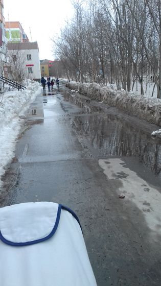 Сегодняшняя прогулка:-)