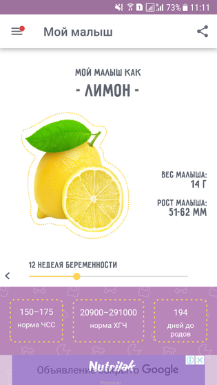 12 неделек