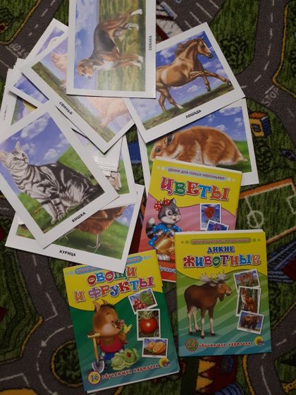 Фигурки, картинки и книжка